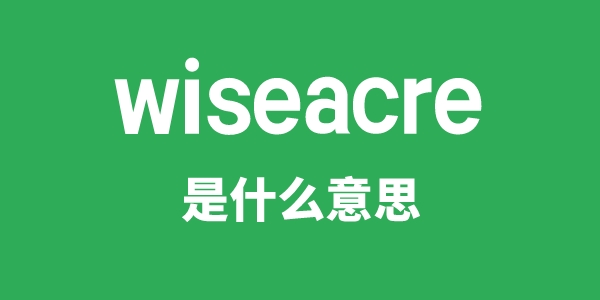 wiseacre是什么意思