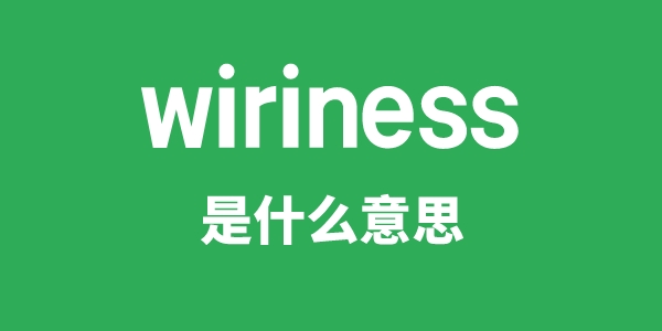 wiriness是什么意思