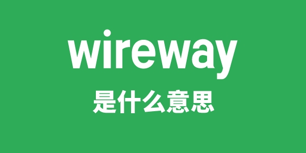 wireway是什么意思