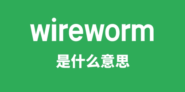 wireworm是什么意思