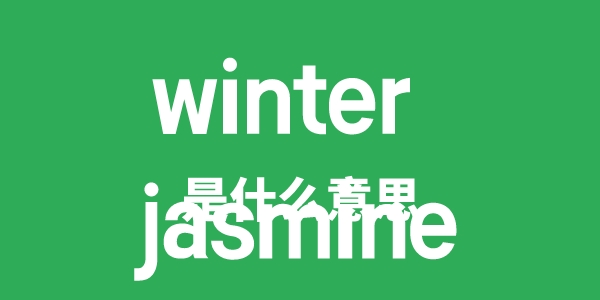 winter jasmine是什么意思