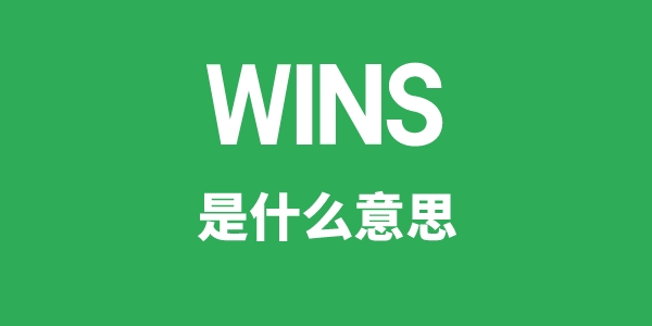 WINS是什么意思