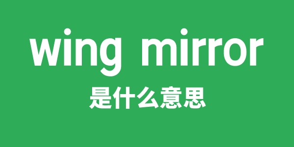 wing mirror是什么意思