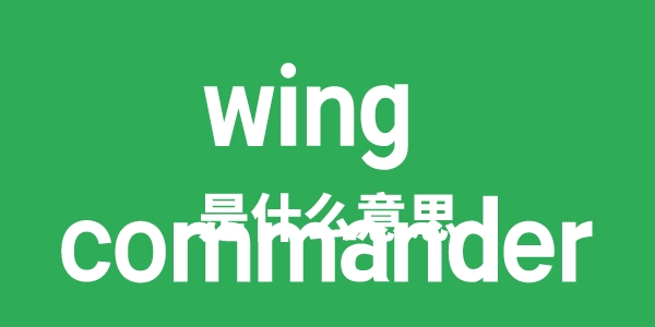 wing commander是什么意思