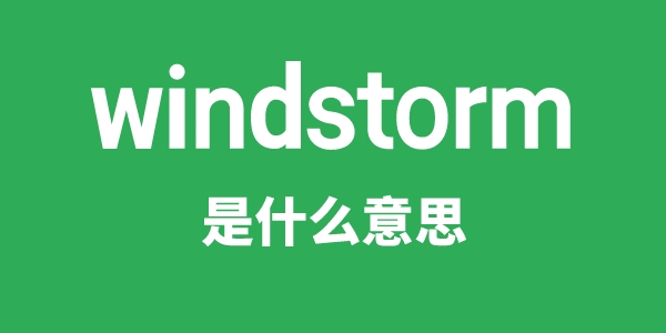 windstorm是什么意思