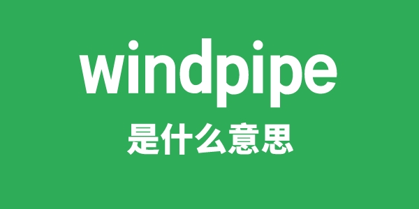 windpipe是什么意思