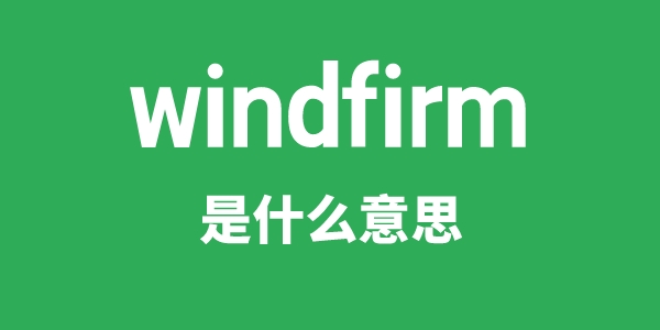 windfirm是什么意思