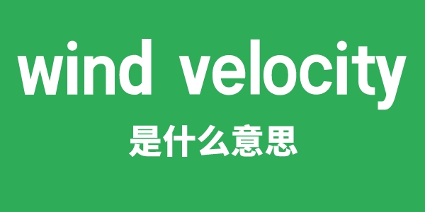 wind velocity是什么意思