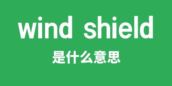 wind shield是什么意思