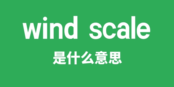 wind scale是什么意思