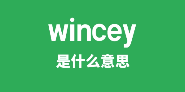 wincey是什么意思