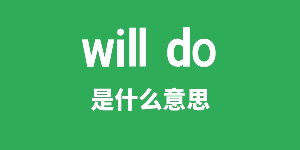 will do是什么意思