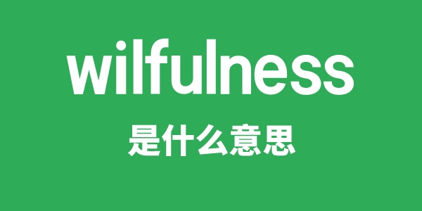 wilfulness是什么意思