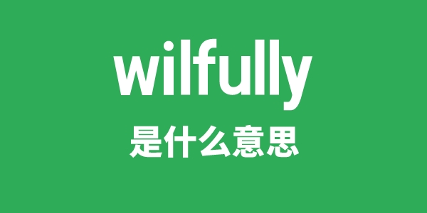 wilfully是什么意思