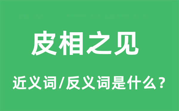 皮相之见的近义词和反义词是什么,皮相之见是什么意思