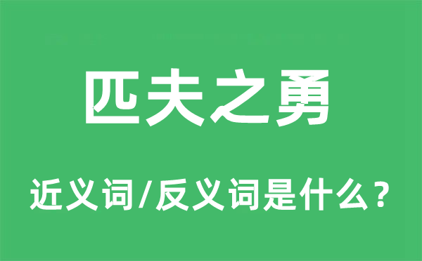 匹夫之勇的近义词和反义词是什么,匹夫之勇是什么意思