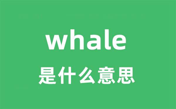 whale是什么意思