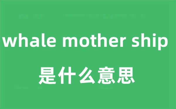 whale mother ship是什么意思