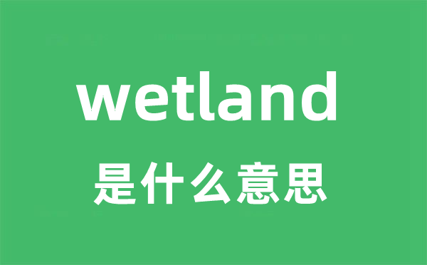 wetland是什么意思