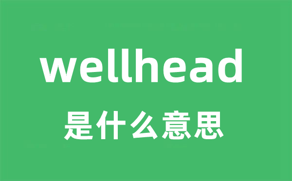 wellhead是什么意思