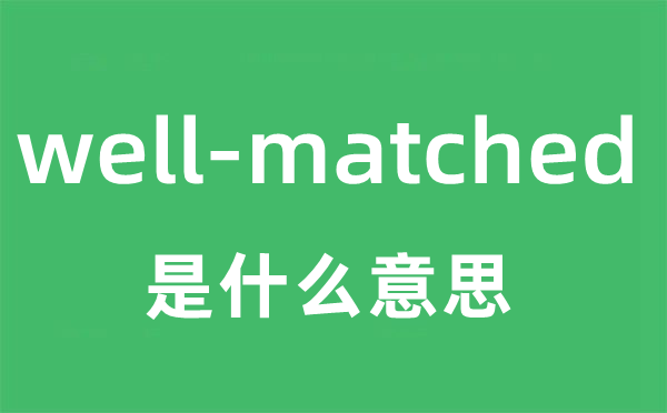 well-matched是什么意思