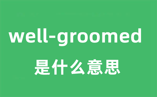 well-groomed是什么意思