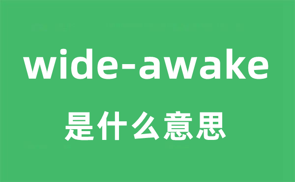 wide-awake是什么意思