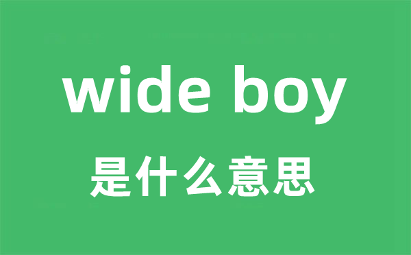 wide boy是什么意思