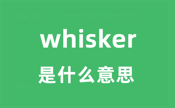 whisker是什么意思