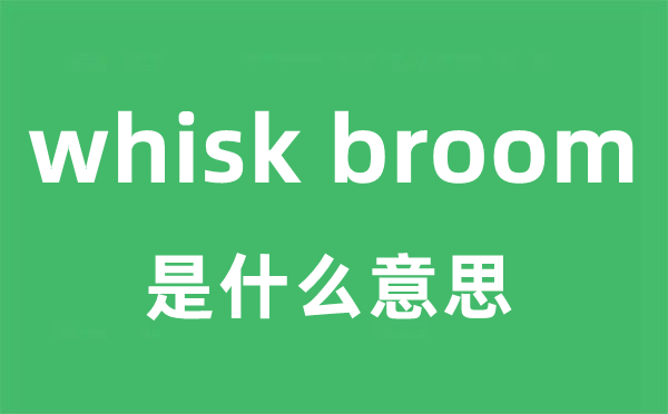 whisk broom是什么意思