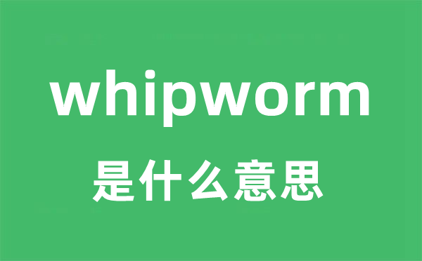 whipworm是什么意思