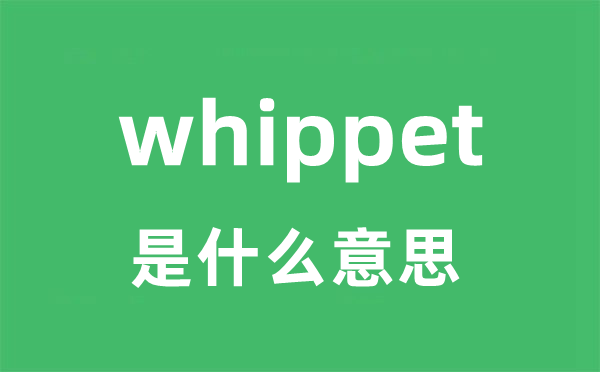 whippet是什么意思