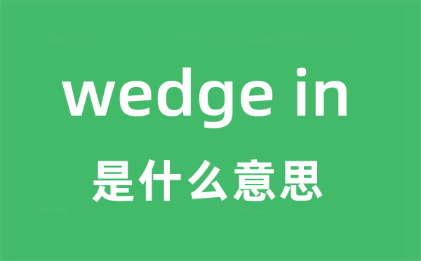 wedge in是什么意思