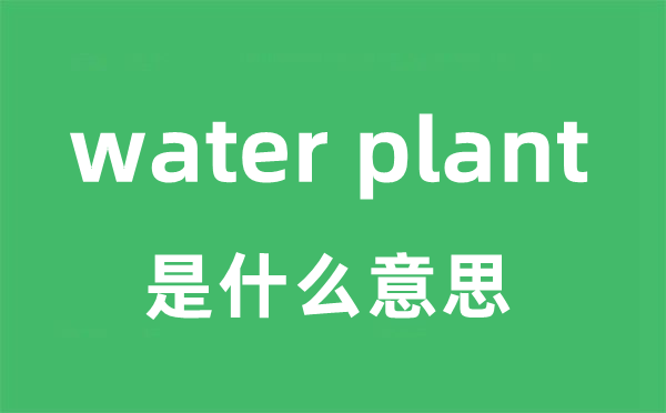 water plant是什么意思