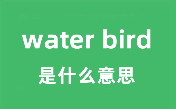 water bird是什么意思