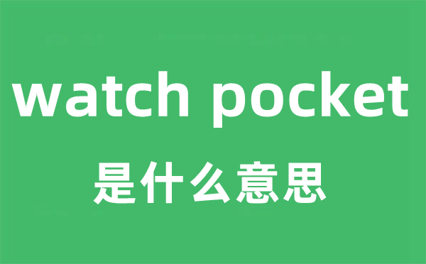 watch pocket是什么意思