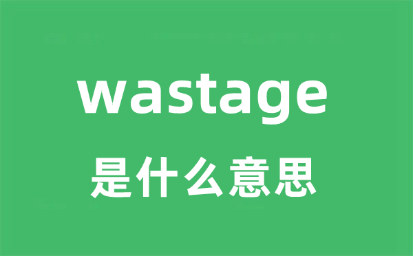 wastage是什么意思