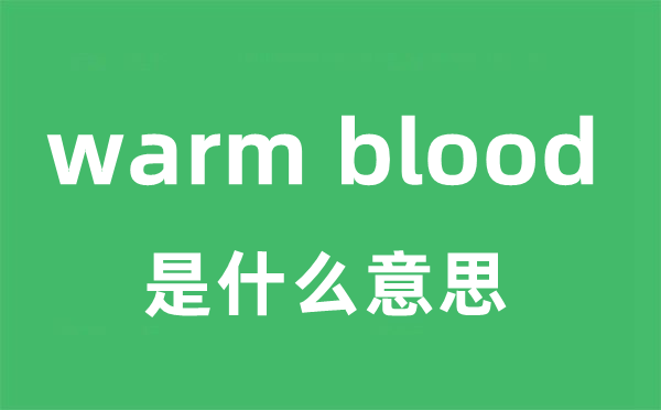 warm blood是什么意思