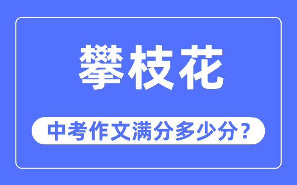 攀枝花中考作文满分多少分,攀枝花市中考作文评分标准及细则