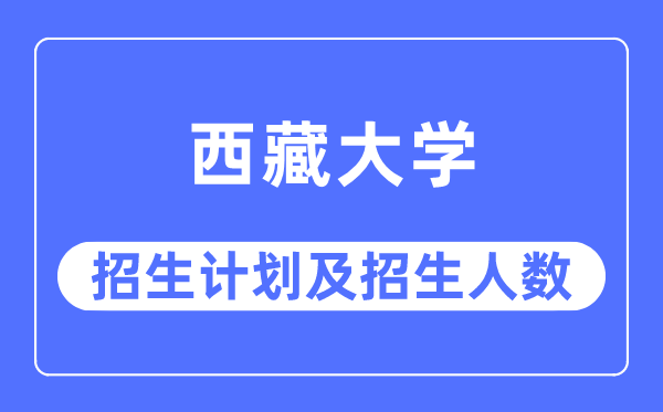 2023年西藏大学各省招生计划及各专业招生人数是多少