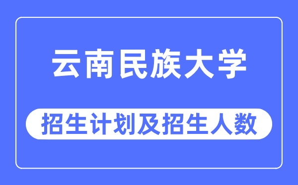 2023年云南民族大学各省招生计划及各专业招生人数是多少