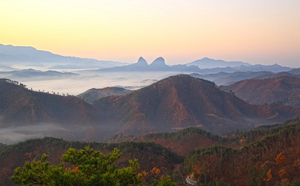 山东有哪些大学,山东省所有大学名单一览表