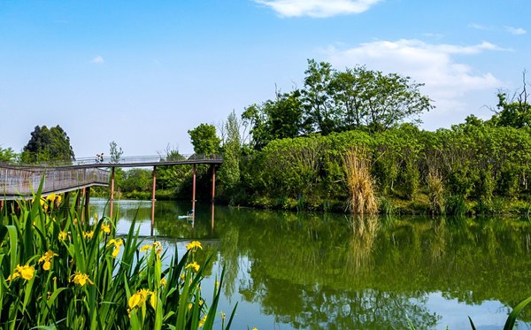 成都有哪些大学,成都市所有大学名单一览表