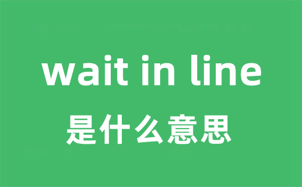 wait in line是什么意思