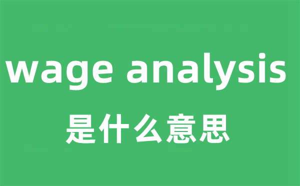 wage analysis是什么意思