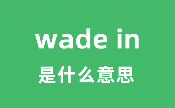 wade in是什么意思