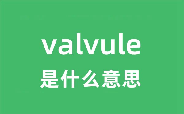 valvule是什么意思