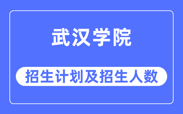 2023年武汉学院各省招生计划及各专业招生人数是多少