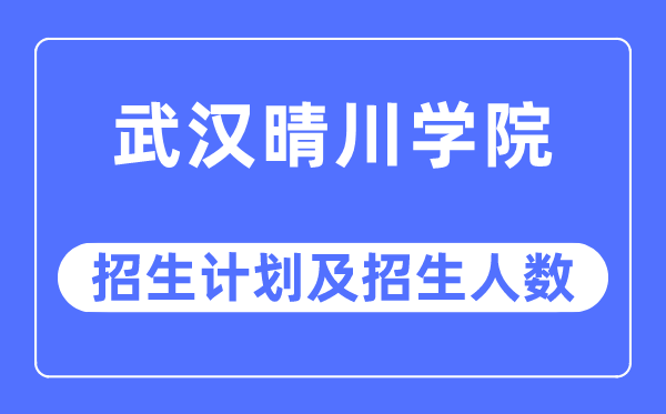 2023年武汉晴川学院各省招生计划及各专业招生人数是多少