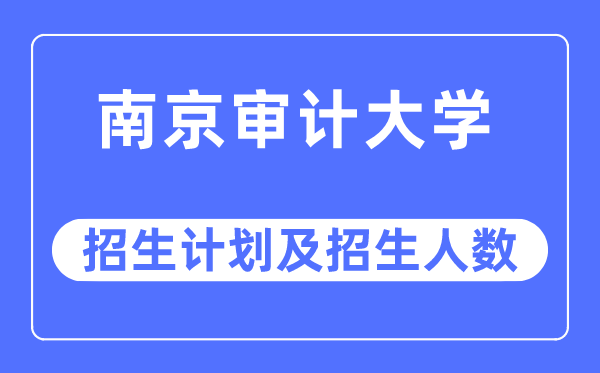 2023年南京审计大学各省招生计划及各专业招生人数是多少